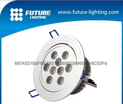 LED DownLighters