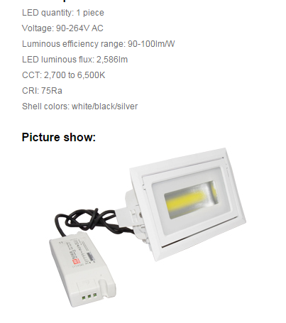 LED DownLighters