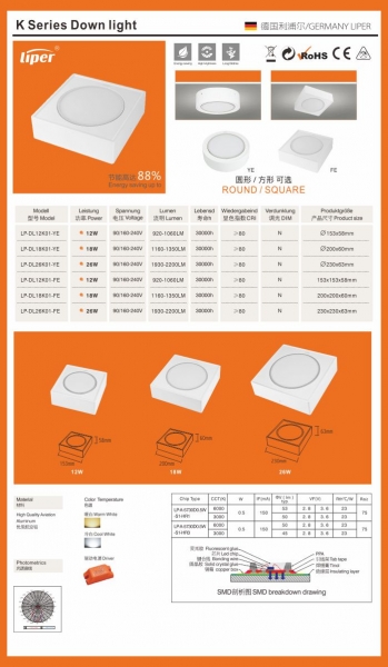 LED DownLighters