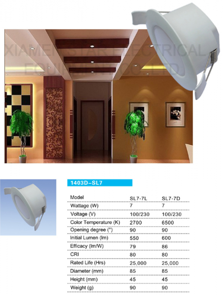 LED DownLighters