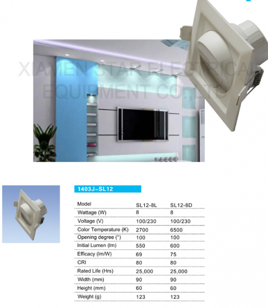 LED DownLighters