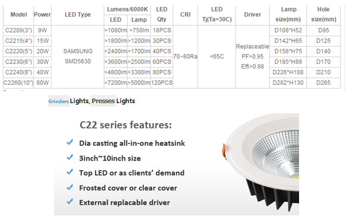 LED DownLighters