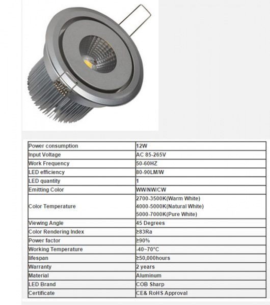 LED DownLighters