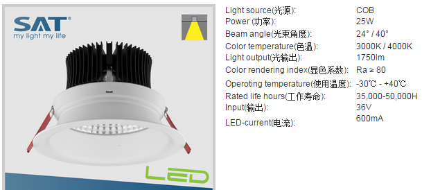 LED DownLighters