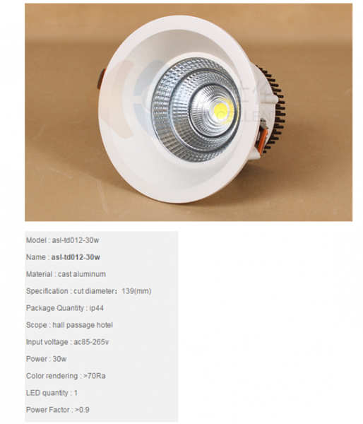 LED DownLighters