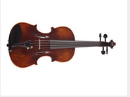 Stringed Instruments