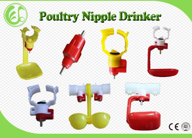 Animal Feeder Equipment