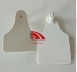 Animal Ear Tags