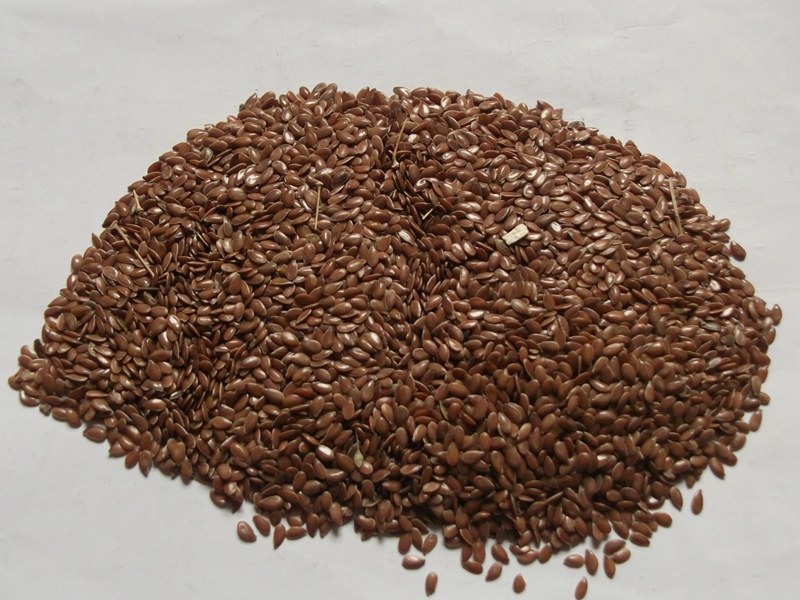 Flax seed