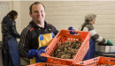 Carlingford Oyster Company