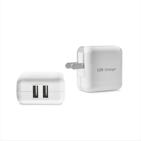 Electronic Charger