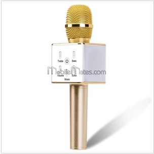 Wireless Microphone