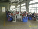 Jinhu Golden Sun Enterprise Co., Ltd.