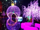 Shenzhen Toprex Festival Decoration Co., Ltd.