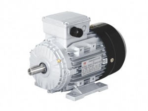 AC Asynchronous Motor