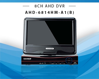 CCTV DVR