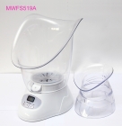 LCD Anion Facial Steamer