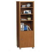 Bookcase(JWBC-1009)