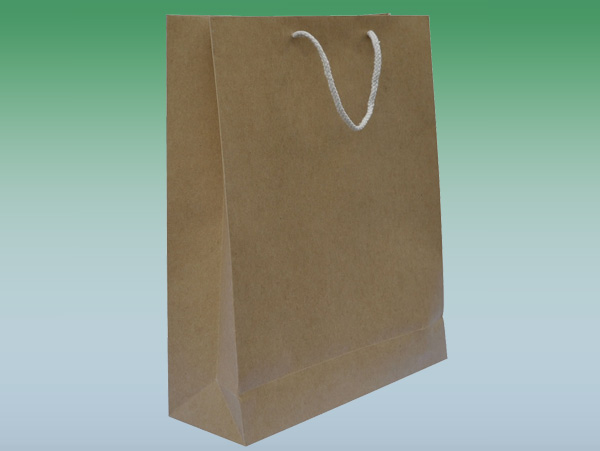 Paper bag