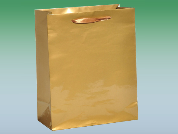 Paper bag