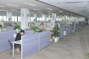 Ningbo Global Union Imp. & Exp. Co., Ltd.