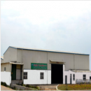 Zhangpu Yicai Fruit&Vegetable Co.,Ltd