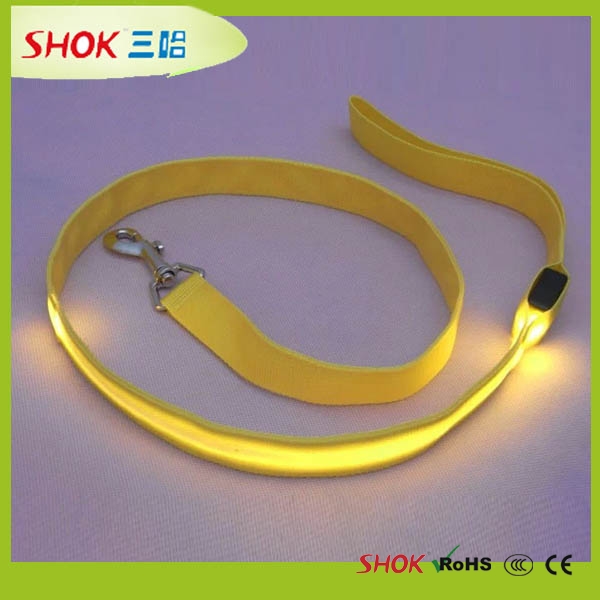 LED Pet Leash