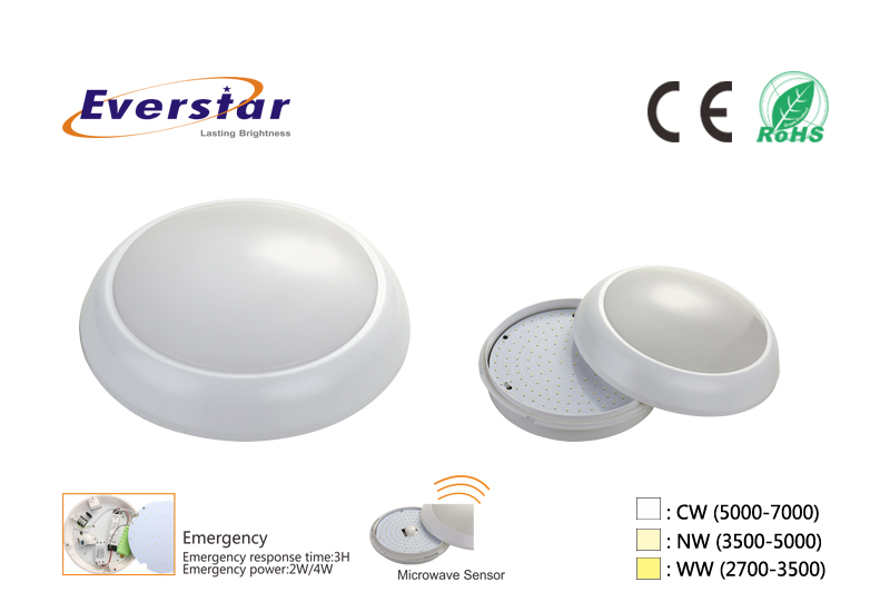 LED Ceiling Lamps