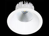 LED DownLighters