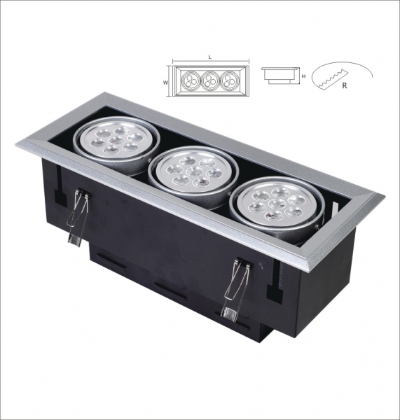 LED DownLighters