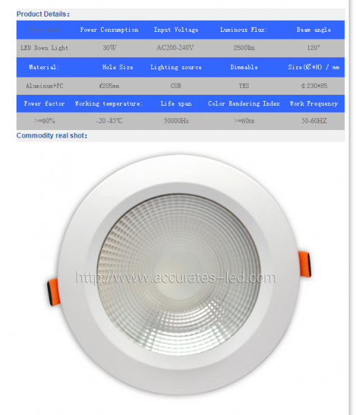 LED DownLighters